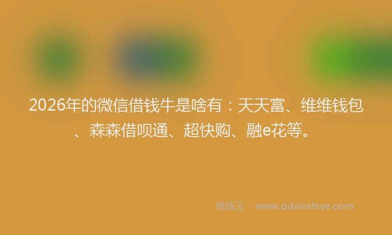 2026年的微信借钱牛是啥有：天天富、维维钱包、森森借呗通、超快购、融e花等。