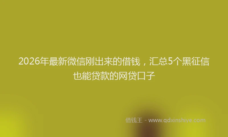 2026年最新微信刚出来的借钱，汇总5个黑征信也能贷款的网贷口子