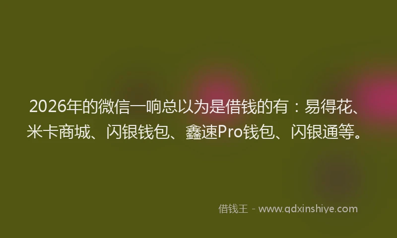 2026年的微信一响总以为是借钱的有：易得花、米卡商城、闪银钱包、鑫速Pro钱包、闪银通等。