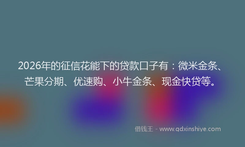 2026年的征信花能下的贷款口子有：微米金条、芒果分期、优速购、小牛金条、现金快贷等。