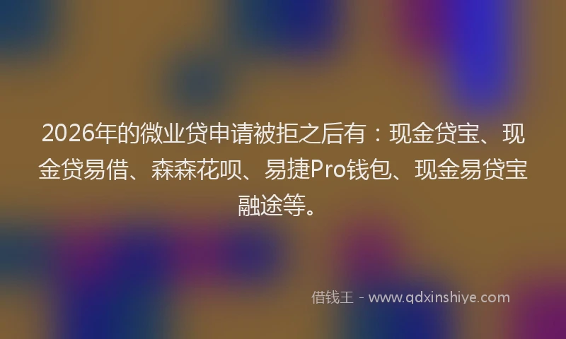 2026年的微业贷申请被拒之后有：现金贷宝、现金贷易借、森森花呗、易捷Pro钱包、现金易贷宝融途等。