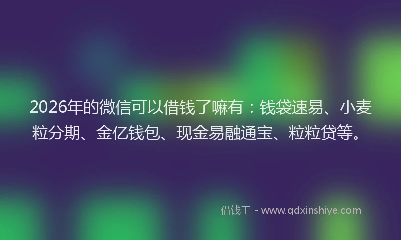 2026年的微信可以借钱了嘛有：钱袋速易、小麦粒分期、金亿钱包、现金易融通宝、粒粒贷等。