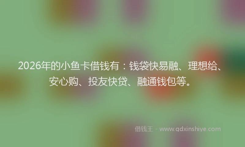 2026年的小鱼卡借钱有：钱袋快易融、理想给、安心购、投友快贷、融通钱包等。