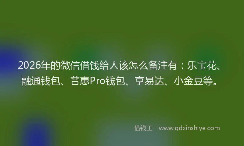 2026年的微信借钱给人该怎么备注有：乐宝花、融通钱包、普惠Pro钱包、享易达、小金豆等。