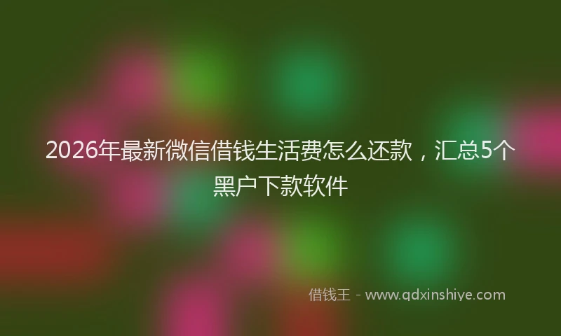 2026年最新微信借钱生活费怎么还款，汇总5个黑户下款软件
