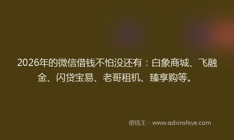 2026年的微信借钱不怕没还有：白象商城、飞融金、闪贷宝易、老哥租机、臻享购等。