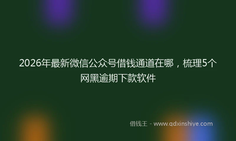 2026年最新微信公众号借钱通道在哪，梳理5个网黑逾期下款软件