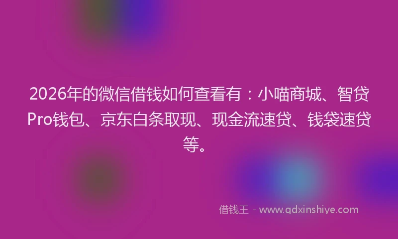 2026年的微信借钱如何查看有：小喵商城、智贷Pro钱包、京东白条取现、现金流速贷、钱袋速贷等。