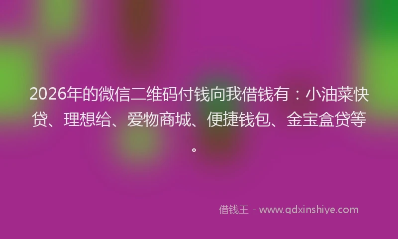 2026年的微信二维码付钱向我借钱有：小油菜快贷、理想给、爱物商城、便捷钱包、金宝盒贷等。