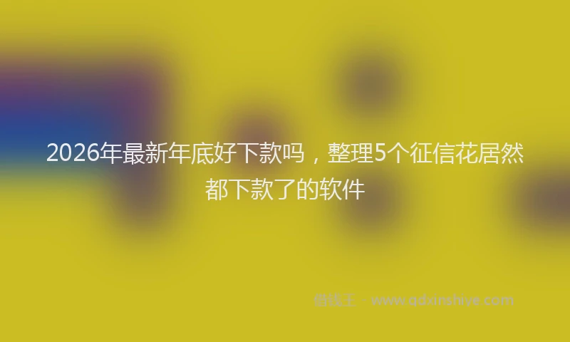 2026年最新年底好下款吗，整理5个征信花居然都下款了的软件
