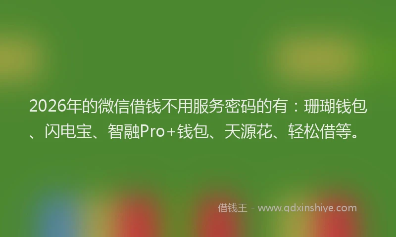2026年的微信借钱不用服务密码的有：珊瑚钱包、闪电宝、智融Pro+钱包、天源花、轻松借等。