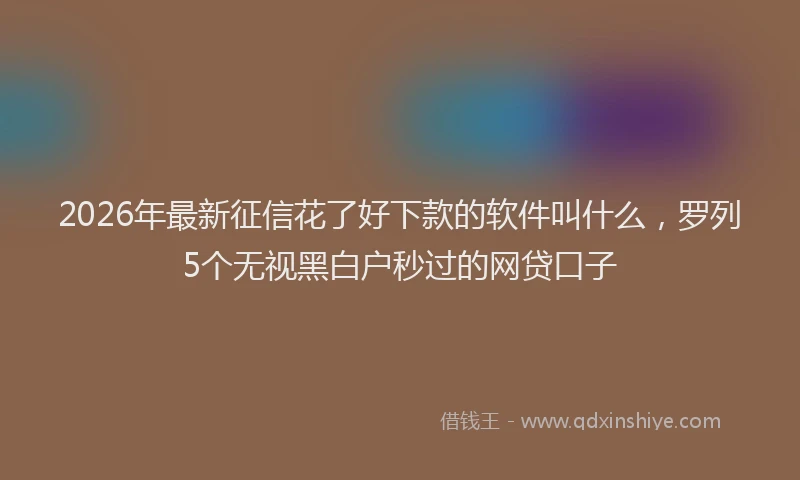 2026年最新征信花了好下款的软件叫什么，罗列5个无视黑白户秒过的网贷口子