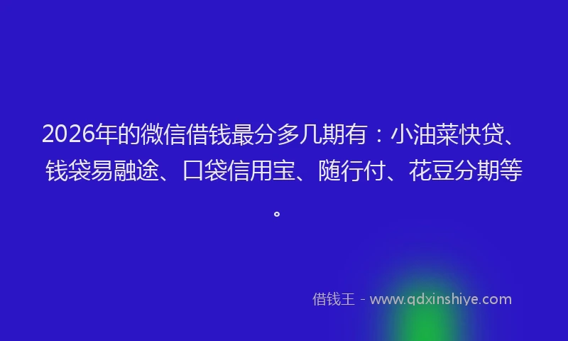 2026年的微信借钱最分多几期有：小油菜快贷、钱袋易融途、口袋信用宝、随行付、花豆分期等。