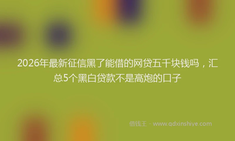 2026年最新征信黑了能借的网贷五千块钱吗，汇总5个黑白贷款不是高炮的口子