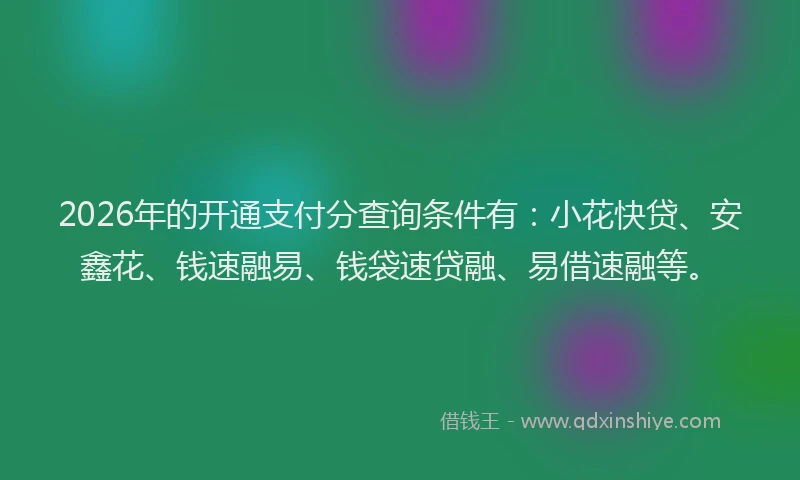 2026年的开通支付分查询条件有：小花快贷、安鑫花、钱速融易、钱袋速贷融、易借速融等。