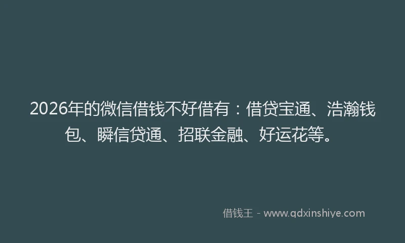 2026年的微信借钱不好借有：借贷宝通、浩瀚钱包、瞬信贷通、招联金融、好运花等。
