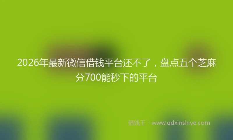 2026年最新微信借钱平台还不了，盘点五个芝麻分700能秒下的平台