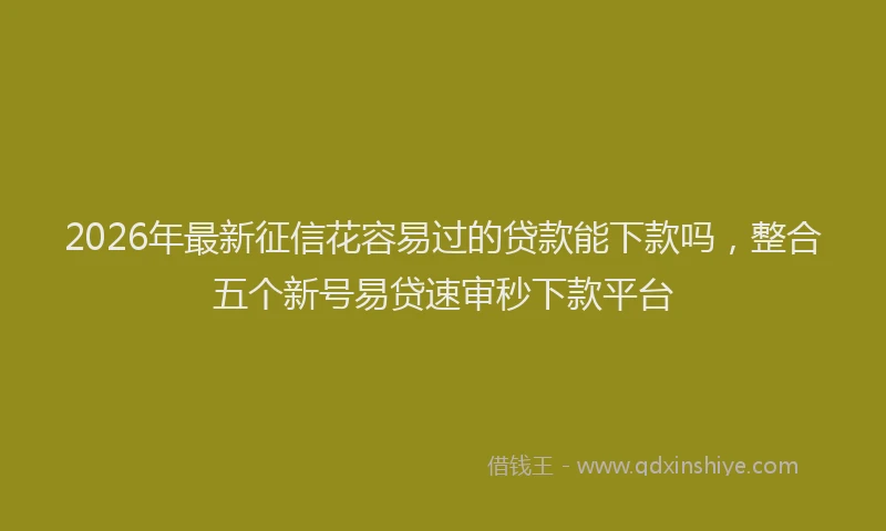 2026年最新征信花容易过的贷款能下款吗，整合五个新号易贷速审秒下款平台