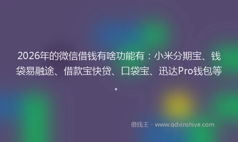 2026年的微信借钱有啥功能有：小米分期宝、钱袋易融途、借款宝快贷、口袋宝、迅达Pro钱包等。