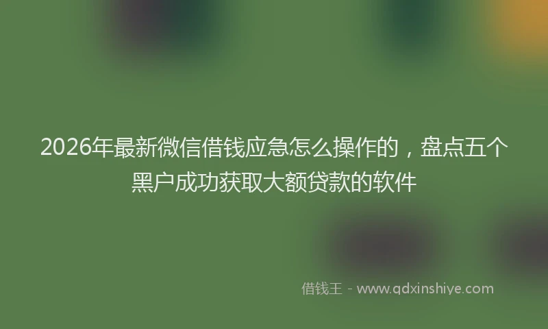 2026年最新微信借钱应急怎么操作的，盘点五个黑户成功获取大额贷款的软件