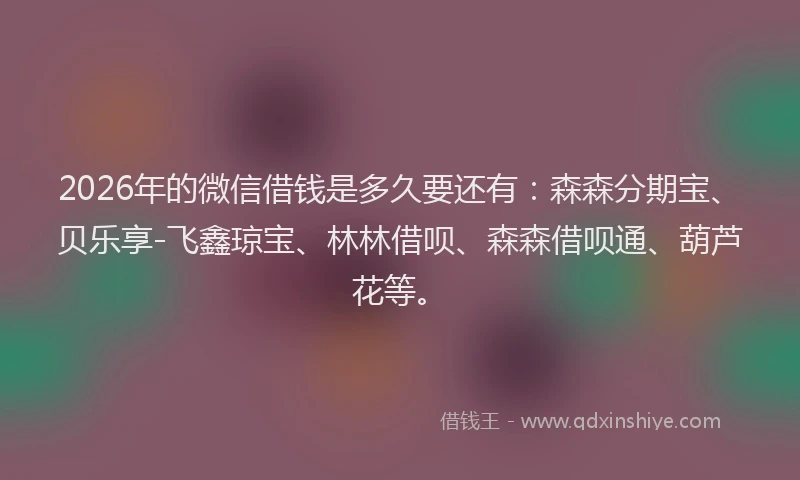 2026年的微信借钱是多久要还有：森森分期宝、贝乐享-飞鑫琼宝、林林借呗、森森借呗通、葫芦花等。