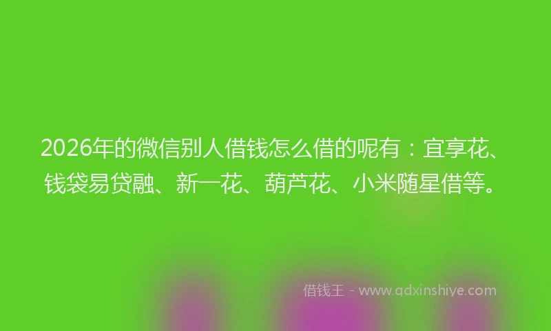 2026年的微信别人借钱怎么借的呢有：宜享花、钱袋易贷融、新一花、葫芦花、小米随星借等。
