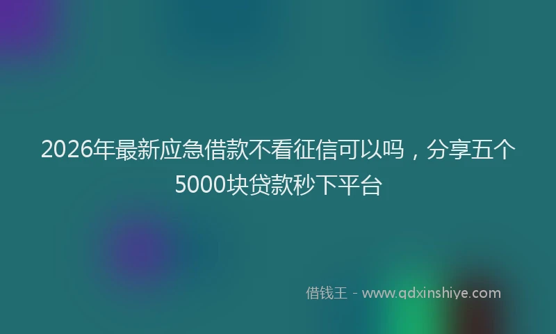 2026年最新应急借款不看征信可以吗，分享五个5000块贷款秒下平台