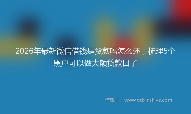 2026年最新微信借钱是货款吗怎么还，梳理5个黑户可以做大额贷款口子
