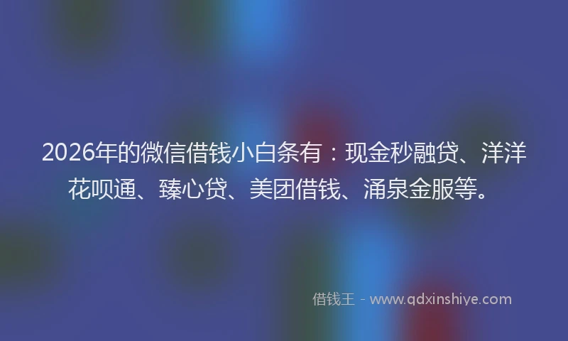 2026年的微信借钱小白条有：现金秒融贷、洋洋花呗通、臻心贷、美团借钱、涌泉金服等。