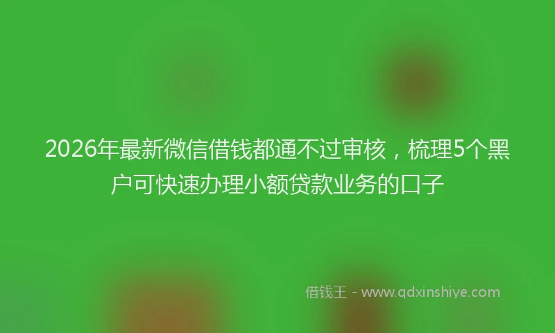 2026年最新微信借钱都通不过审核，梳理5个黑户可快速办理小额贷款业务的口子