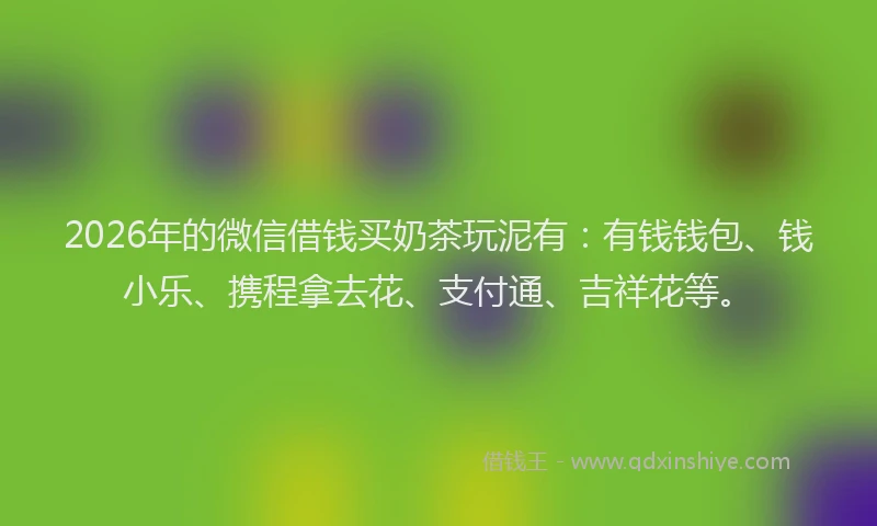 2026年的微信借钱买奶茶玩泥有：有钱钱包、钱小乐、携程拿去花、支付通、吉祥花等。