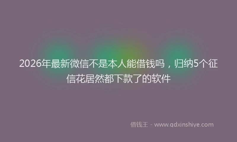 2026年最新微信不是本人能借钱吗，归纳5个征信花居然都下款了的软件