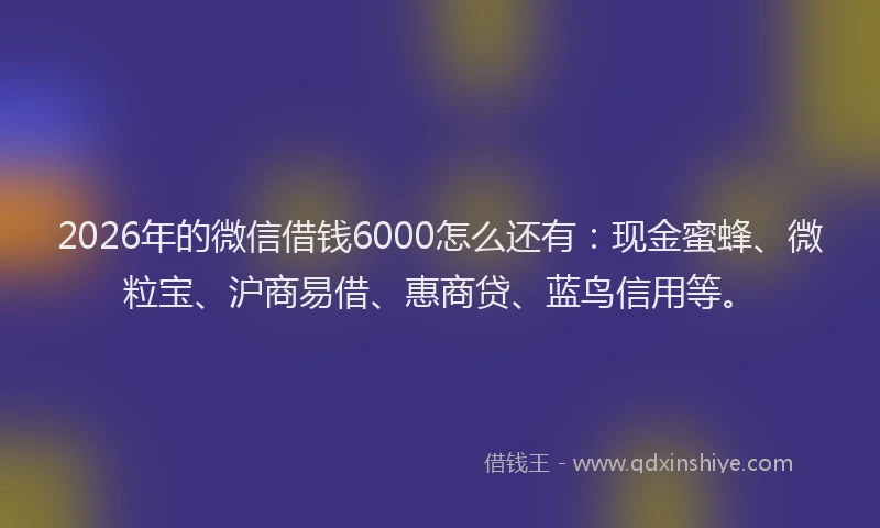 2026年的微信借钱6000怎么还有：现金蜜蜂、微粒宝、沪商易借、惠商贷、蓝鸟信用等。
