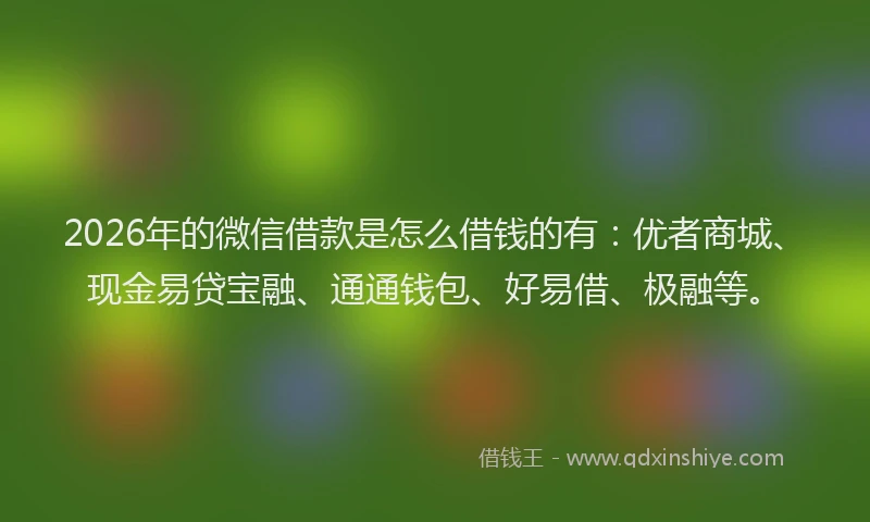2026年的微信借款是怎么借钱的有：优者商城、现金易贷宝融、通通钱包、好易借、极融等。