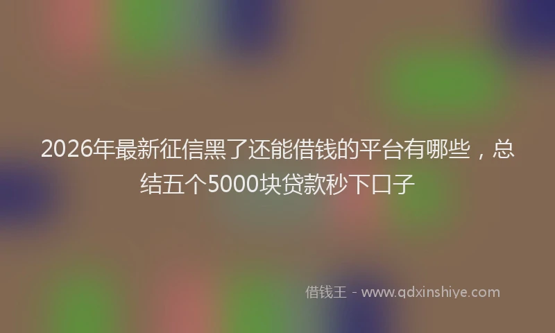 2026年最新征信黑了还能借钱的平台有哪些，总结五个5000块贷款秒下口子