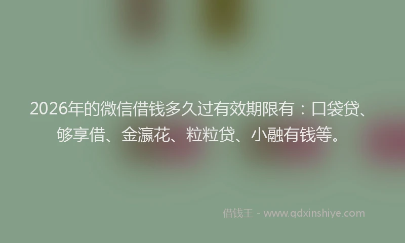 2026年的微信借钱多久过有效期限有：口袋贷、够享借、金瀛花、粒粒贷、小融有钱等。