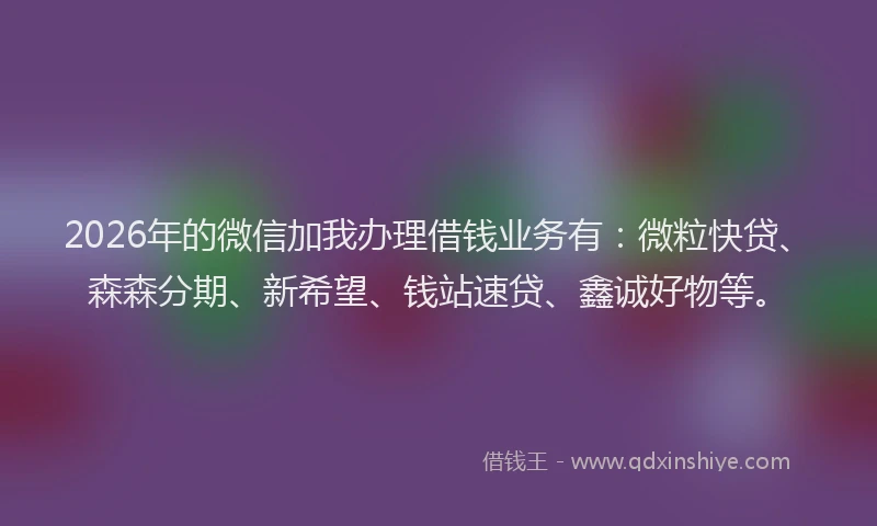 2026年的微信加我办理借钱业务有：微粒快贷、森森分期、新希望、钱站速贷、鑫诚好物等。
