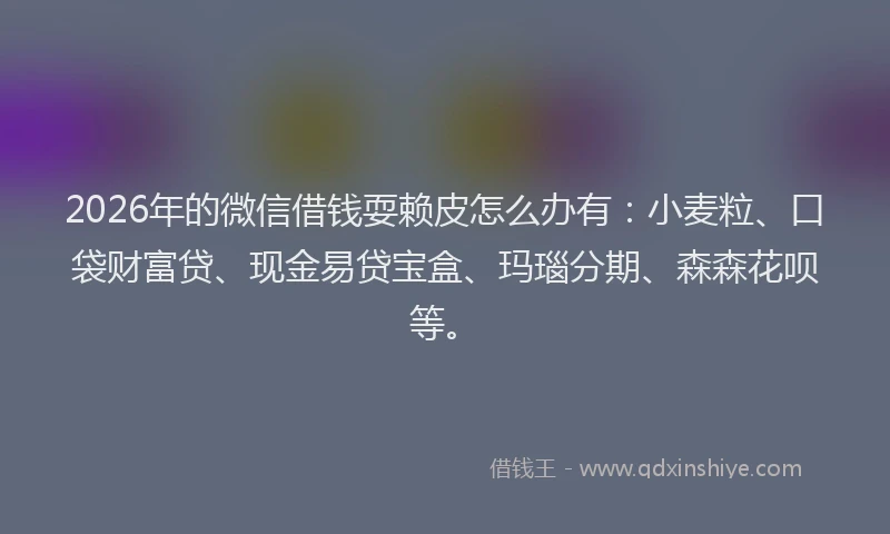 2026年的微信借钱耍赖皮怎么办有：小麦粒、口袋财富贷、现金易贷宝盒、玛瑙分期、森森花呗等。