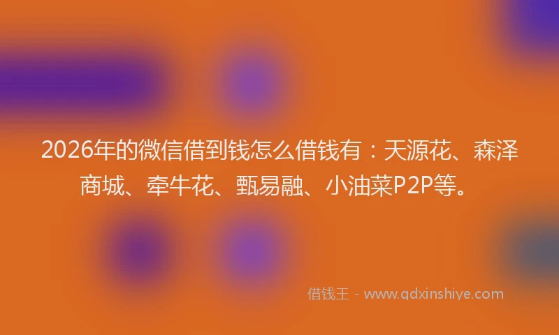 2026年的微信借到钱怎么借钱有：天源花、森泽商城、牵牛花、甄易融、小油菜P2P等。