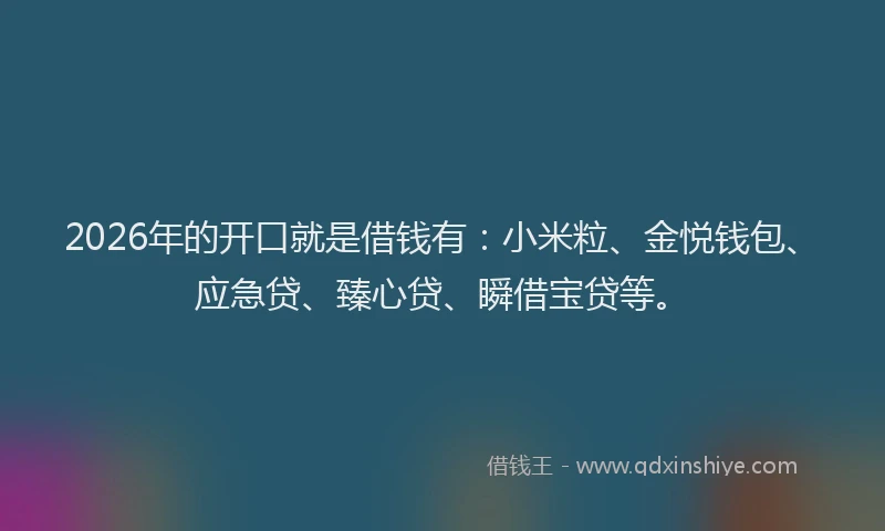 2026年的开口就是借钱有：小米粒、金悦钱包、应急贷、臻心贷、瞬借宝贷等。