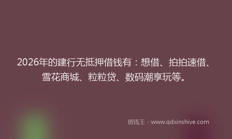 2026年的建行无抵押借钱有：想借、拍拍速借、雪花商城、粒粒贷、数码潮享玩等。