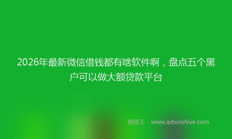 2026年最新微信借钱都有啥软件啊，盘点五个黑户可以做大额贷款平台