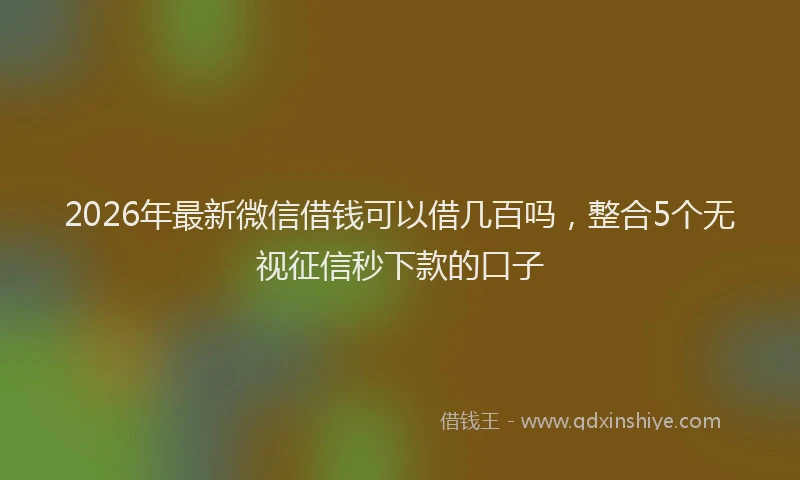 2026年最新微信借钱可以借几百吗，整合5个无视征信秒下款的口子
