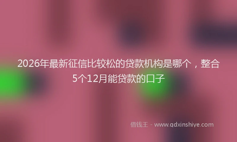 2026年最新征信比较松的贷款机构是哪个，整合5个12月能贷款的口子