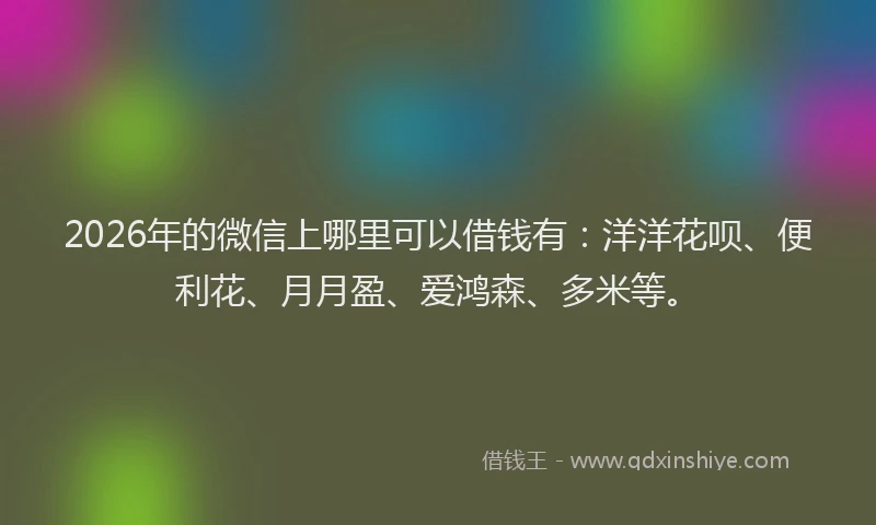 2026年的微信上哪里可以借钱有：洋洋花呗、便利花、月月盈、爱鸿森、多米等。