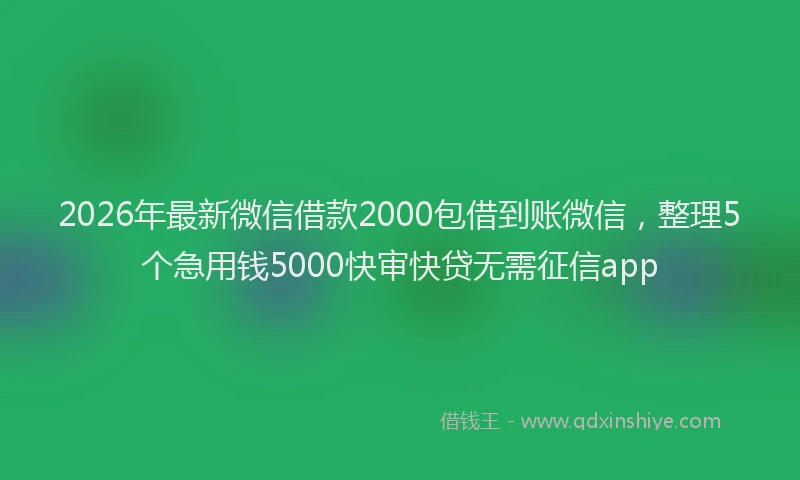 2026年最新微信借款2000包借到账微信，整理5个急用钱5000快审快贷无需征信app