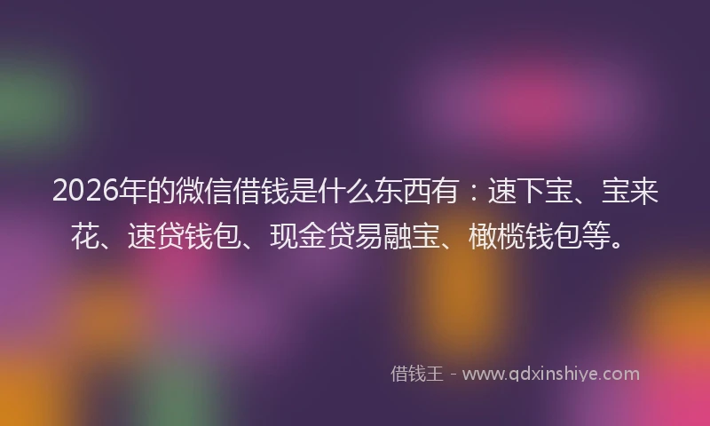 2026年的微信借钱是什么东西有：速下宝、宝来花、速贷钱包、现金贷易融宝、橄榄钱包等。