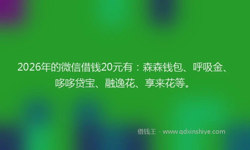 2026年的微信借钱20元有：森森钱包、呼吸金、哆哆贷宝、融逸花、享来花等。
