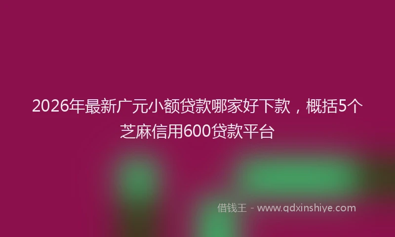 2026年最新广元小额贷款哪家好下款，概括5个芝麻信用600贷款平台
