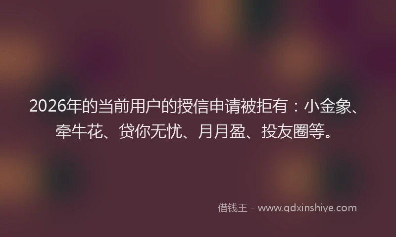 2026年的当前用户的授信申请被拒有：小金象、牵牛花、贷你无忧、月月盈、投友圈等。